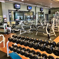 The Gymnasium - Gymnasium