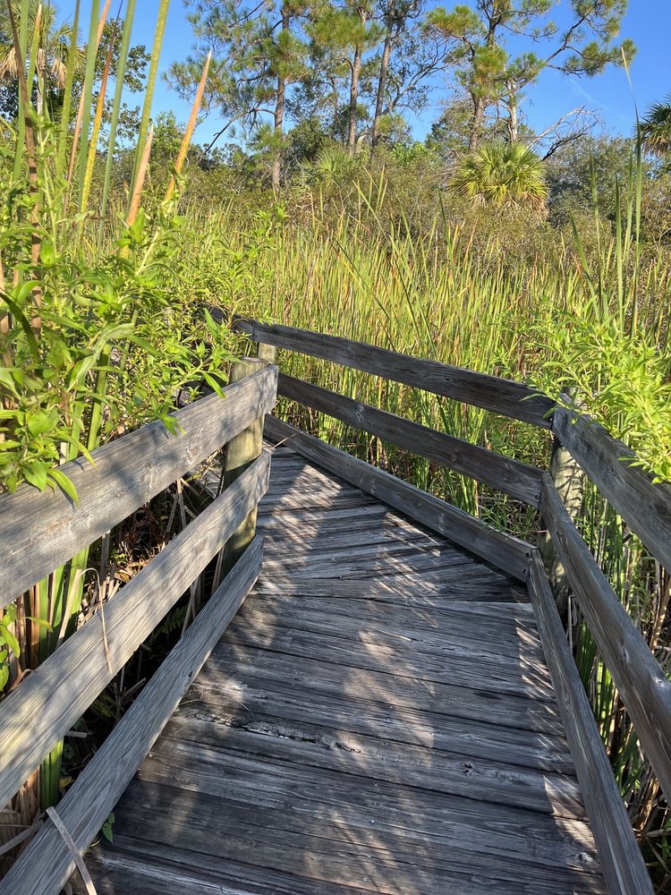 BREVARD MUSEUM OF HISTORY & NATURAL SCIENCE 27 Photos 2201 Michigan