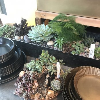 Anthropologie - Shopping Centers Near Me - Walnut Creek, California