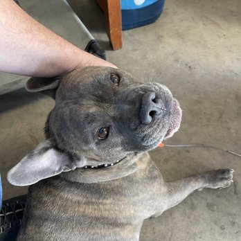 The Pit Stop in Marble Falls Tx - Auto Repair Near Me - Marble Falls, Texas The Pit Stop in Marble Falls Tx - Auto Repair Near Me - Marble Falls, Texas