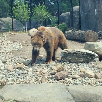 The Toledo Zoo - Zoos Near Me - Toledo, Ohio