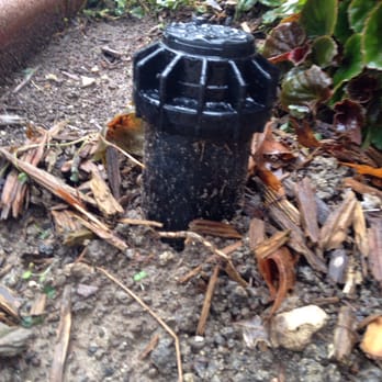 Heads Up Sprinkler - The sprinkler head they replaced without asking because they are professionals who take care of the entire system - Irrigation Near Me - Plano, Texas Heads Up Sprinkler - The sprinkler head they replaced without asking because they are professionals who take care of the entire system - Irrigation Near Me - Plano, Texas