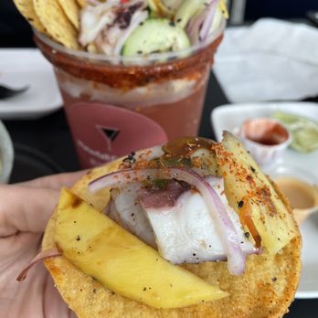 Waterfall - Mix Ceviche - Seafood Near Me - San Francisco, California Waterfall - Mix Ceviche - Seafood Near Me - San Francisco, California