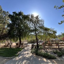 Pioneer Park