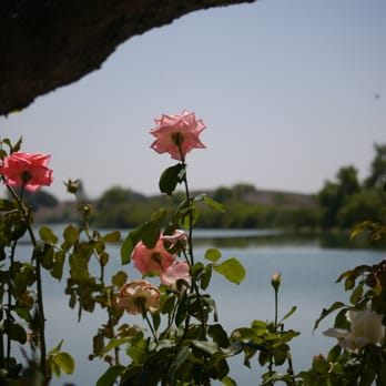 Prado Regional Park - Hiking Near Me - Chino, California