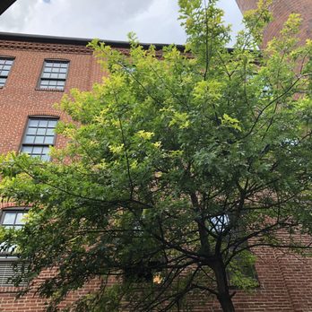 Cork Factory Hotel - Hotels Near Me - Lancaster, Pennsylvania