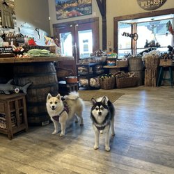 Wild & Ruff - Bentley and Gus are the shop dogs at Wild & Ruff in Truckee, CA!