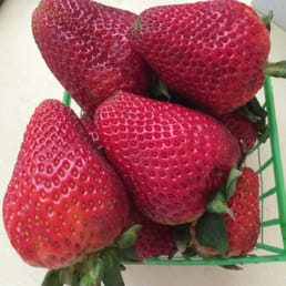 Top of the basket berries Top of the basket berries