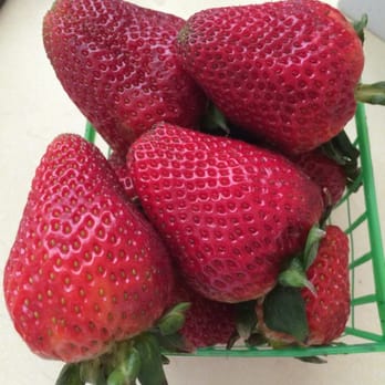 Thistle Hut - Top of the basket berries - Fruits & Veggies Near Me - Castroville, California Thistle Hut - Top of the basket berries - Fruits & Veggies Near Me - Castroville, California