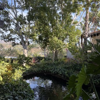 Orange Hill - Gardens. - Steakhouses Near Me - Orange, California Orange Hill - Gardens. - Steakhouses Near Me - Orange, California
