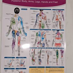 My Massage Place - Poster on his wall
