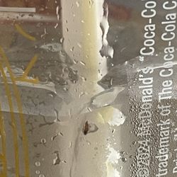 McDonald's - Sprite