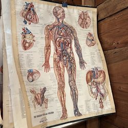 California School of Herbal Studies