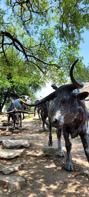 Pioneer Plaza by null