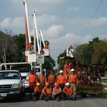 Economy Tree Care - Crew and Fleet - Tree Services Near Me - Long Beach, California Economy Tree Care - Crew and Fleet - Tree Services Near Me - Long Beach, California