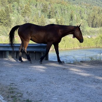 Spotted Horse Ranch - Hotels Near Me - Jackson, Wyoming