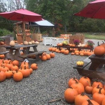 Outpost Farm - CSA Near Me - Holliston, Massachusetts Outpost Farm - CSA Near Me - Holliston, Massachusetts