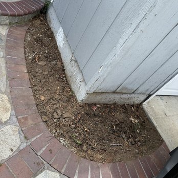 JMV Tree Service - Tree Services Near Me - Hayward, California