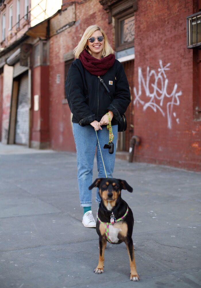 LEROY & FRIENDS PET CARE Dog Walkers Los Angeles , California 19