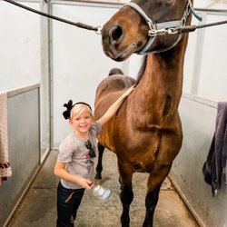Wallen West Farms & Riding Academy