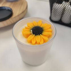 VODA Scents & Nonsense
