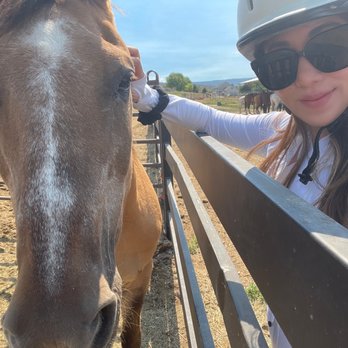 KB Horses - Horse Boarding Near Me - Heber City, Utah KB Horses - Horse Boarding Near Me - Heber City, Utah
