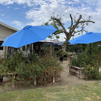 Cut A Tree - Tree Services Near Me