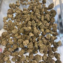 Green Leaf Plus - THCa Flower Tropicana Cherry