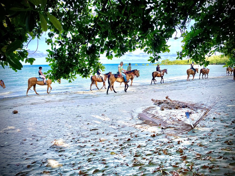 DAINTREE SECRETS RAINFOREST SANCTUARY 34 Photos 61 Stonewood Rd