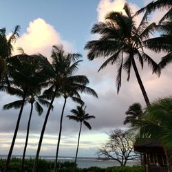At Home With Care - Hawaii
