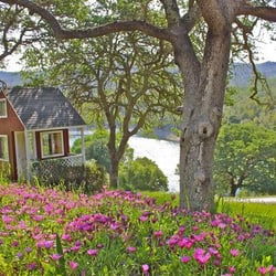 Bella Vista of Almaden