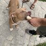 Photo of Jake's Ice Cream
