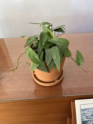 Public Land Store by null