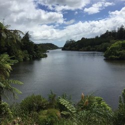 Waiwhakaiho Reserve