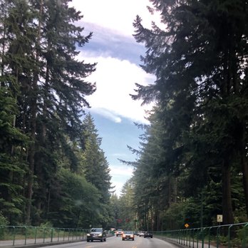 Lions Gate Bridge - Trees - Landmarks & Historical Buildings Near Me - Vancouver, British Columbia
