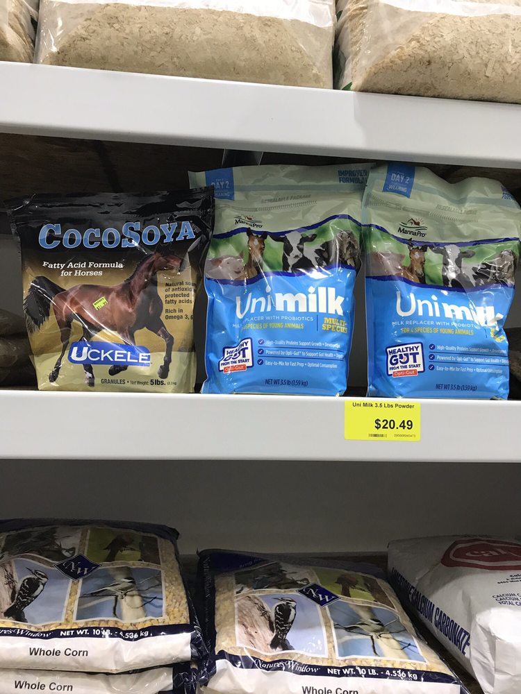 MAGOO’S PET OUTLET 94 Photos Pet Stores 45503 Schoenherr Rd