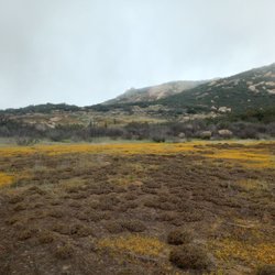 Mt Gower County Preserve