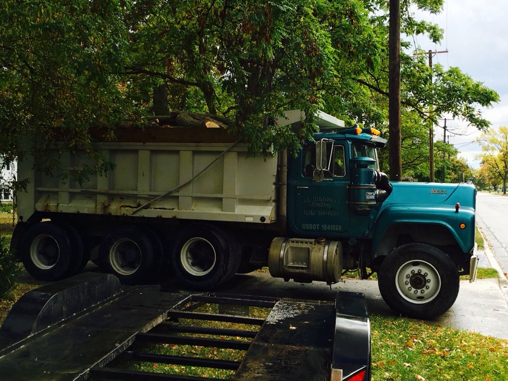 Maple Falls - tree service in China Township, MI