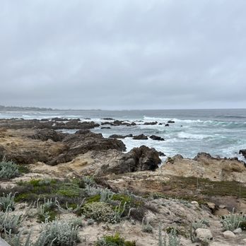 Asilomar Conference Grounds - Right across from Asilomar - Hotels Near Me - Pacific Grove, California