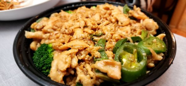 Golden Pheasant by null