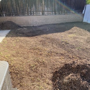 Vicente Tree Services and Landscape - Before - Landscaping Near Me Vicente Tree Services and Landscape - Before - Landscaping Near Me