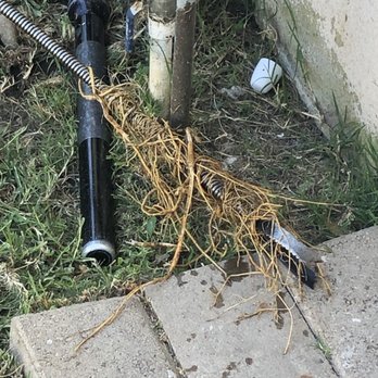 Marshall Plumbing - Roots pulled out by his trusty rooter machine! - Plumbing Near Me - Upland, California Marshall Plumbing - Roots pulled out by his trusty rooter machine! - Plumbing Near Me - Upland, California