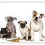 Photo of Holiday Park Animal Hospital