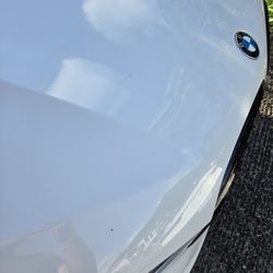 Wells Auto Group - paint chips on the hood