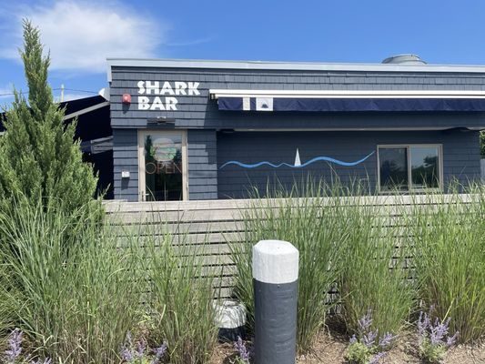 Shark Bar Montauk by null