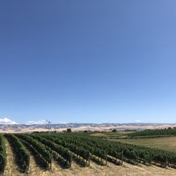 View from back deck