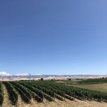 Pepper Bridge Winery - Walla Walla Valley - View from back deck - Wine Tasting Room Near Me - Walla Walla, Washington