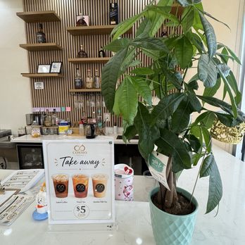 Cosmo Nail Bar - Bar area - Nail Salons Near Me - Houston, Texas Cosmo Nail Bar - Bar area - Nail Salons Near Me - Houston, Texas