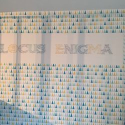 Locus Enigma