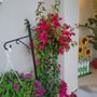 Photo of Jera's Gardening
